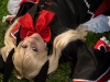 Rachel Alucard Cosplay