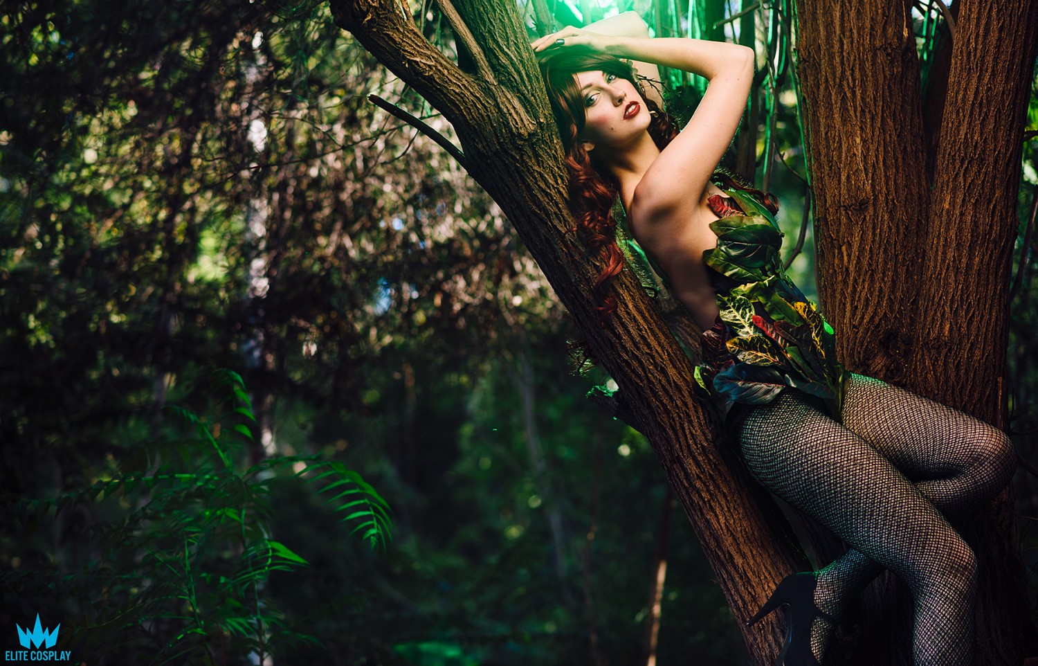 Private Photo Shoot Anime Expo